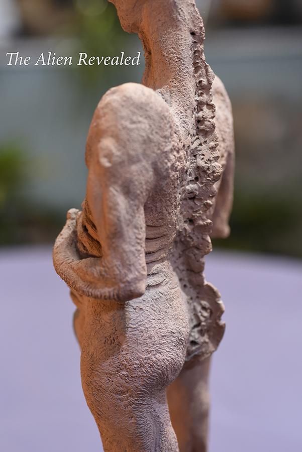 43_the_alien_revealed_04