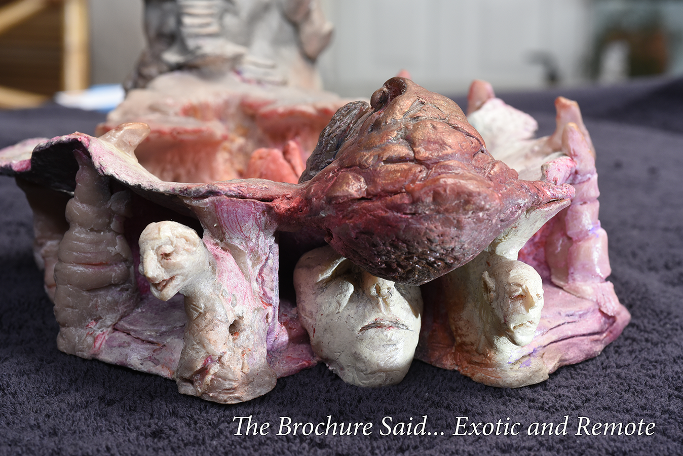 43 the
                      brochure said 01