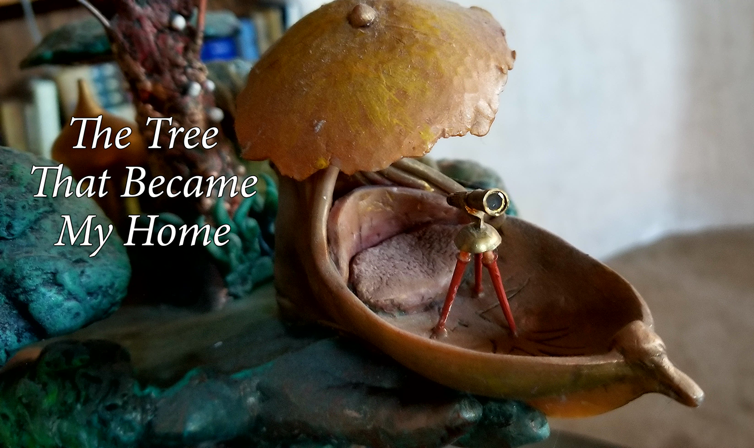 49_thetreethatbecamemyhome_02