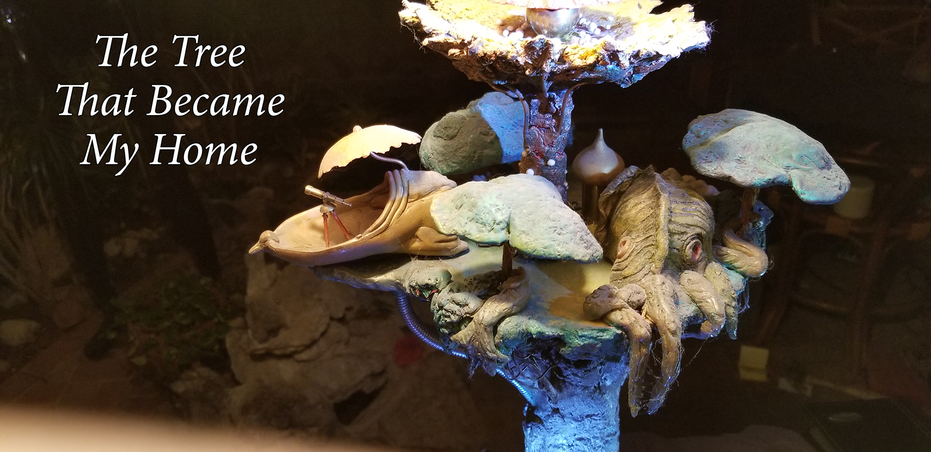 50 the tree that became my home 03