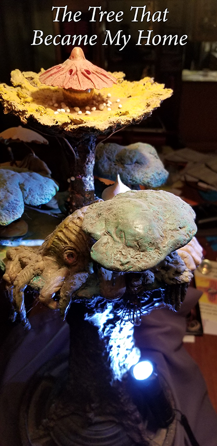 53 the tree
                      that became my home 06