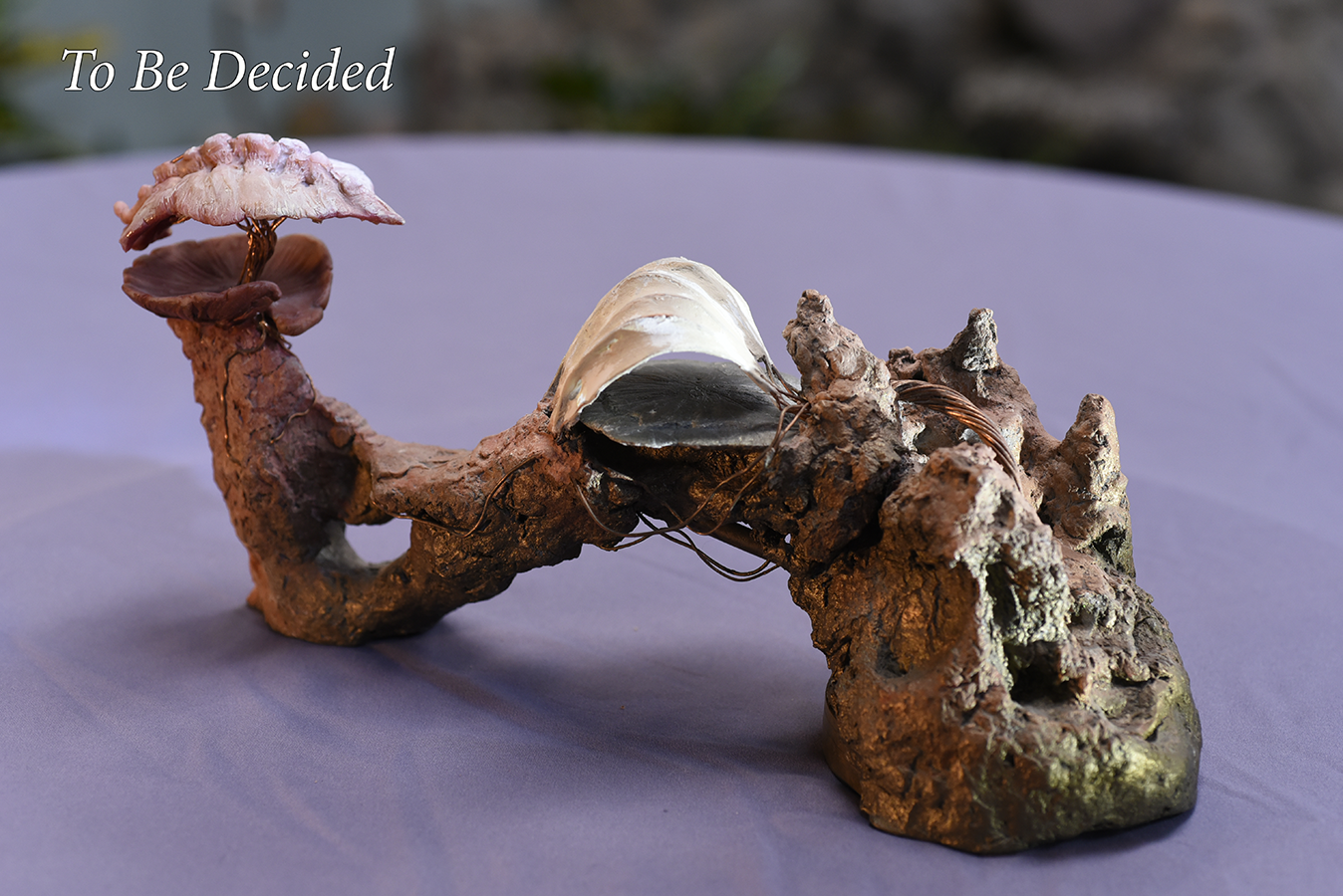 54 to be
                      decided 01