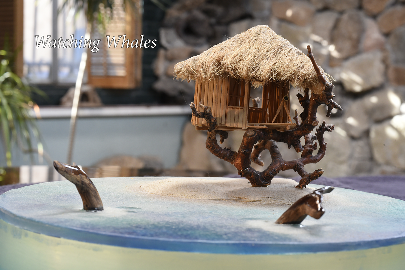 59 watching
                      whales 02