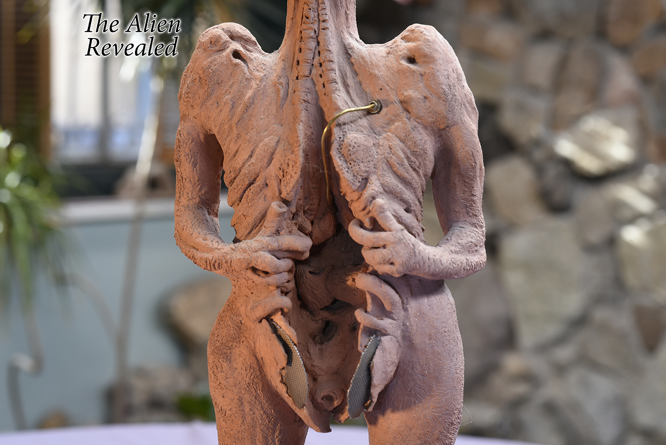 the_alien_revealed_01